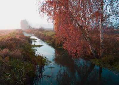 Verschwenderische_Natur