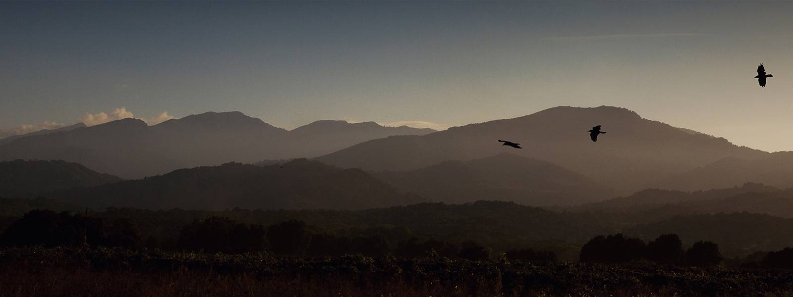 Banner_Korsika